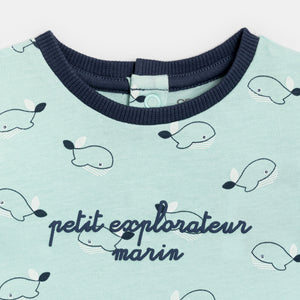 Beebipoiste suvekombe, mündiroheline